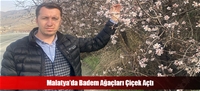 Malatya'da Badem Ağaçları Çiçek Açtı