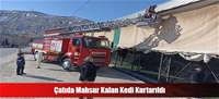 Çatıda Mahsur Kalan Kedi Kurtarıldı