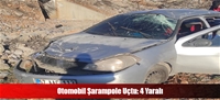 Otomobil Şarampole Uçtu: 4 Yaralı