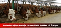 Devlet Desteğiyle Kurduğu Tesiste Günlük 700 Litre Süt Üretiyor