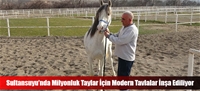 Sultansuyu'nda Milyonluk Taylar İçin Modern Tavlalar İnşa Ediliyor