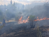 Malatya'da Bahçelik Alanda Korkutan Yangın