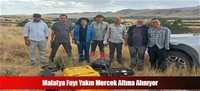 Malatya Fayı Yakın Mercek Altına Alınıyor