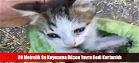 30 Metrelik Su Kuyusuna Düşen Yavru Kedi Kurtarıldı