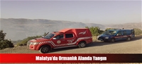 Malatya'da Ormanlık Alanda Yangın