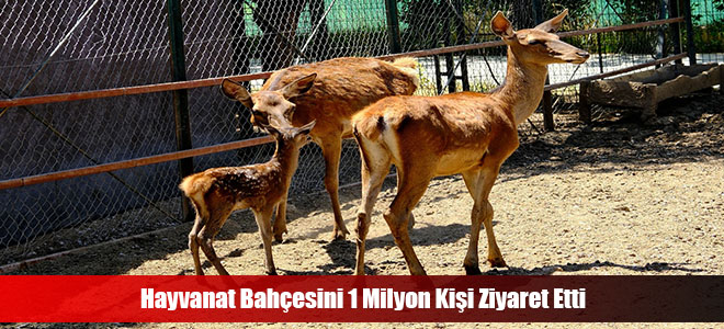 Hayvanat Bahçesini 1 Milyon Kişi Ziyaret Etti