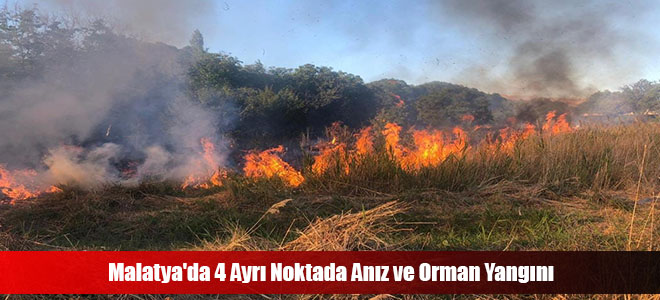 Malatya'da 4 Ayrı Noktada Anız ve Orman Yangını