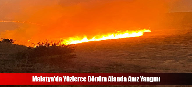 Malatya'da Yüzlerce Dönüm Alanda Anız Yangını