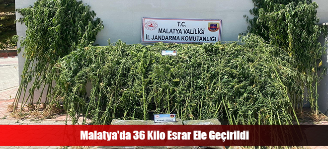 Malatya'da 36 Kilo Esrar Ele Geçirildi