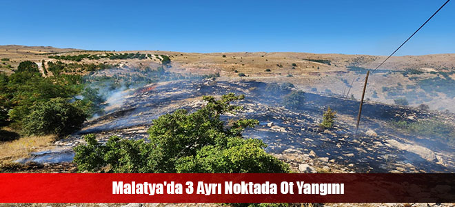 Malatya'da 3 Ayrı Noktada Ot Yangını