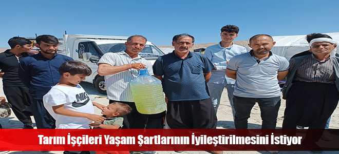 Tarım İşçileri Yaşam Şartlarının İyileştirilmesini İstiyor