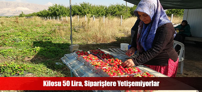 Kilosu 50 Lira, Siparişlere Yetişemiyorlar