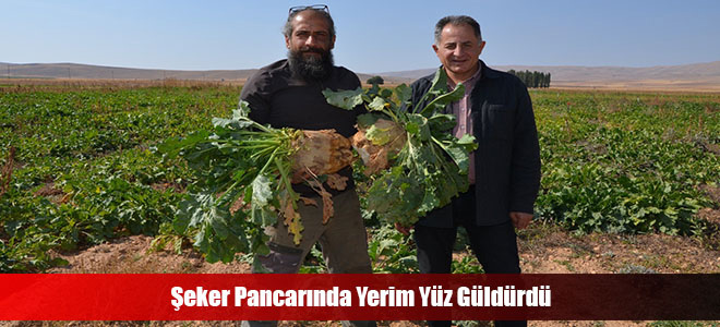 Şeker Pancarında Yerim Yüz Güldürdü