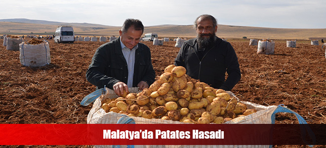 Malatya’da Patates Hasadı