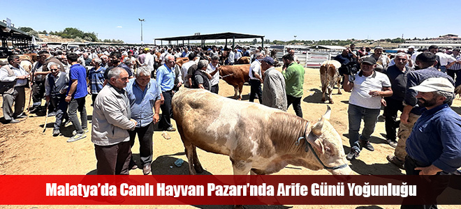 Malatya’da Canlı Hayvan Pazarı’nda Arife Günü Yoğunluğu