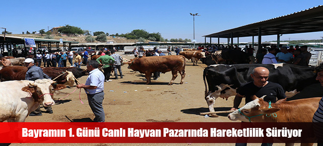 Bayramın 1. Günü Canlı Hayvan Pazarında Hareketlilik Sürüyor