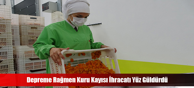 Depreme Rağmen Kuru Kayısı İhracatı Yüz Güldürdü