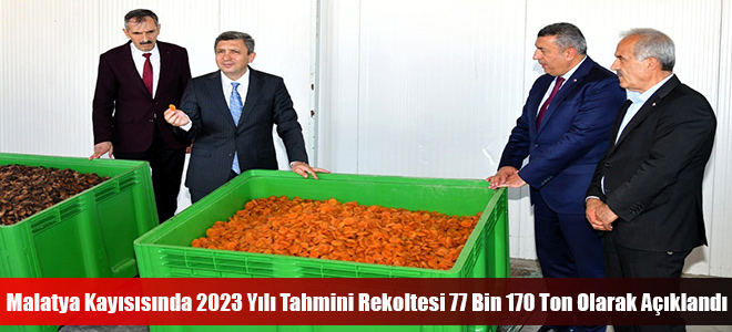 Malatya Kayısısında 2023 Yılı Tahmini Rekoltesi 77 Bin 170 Ton Olarak Açıklandı