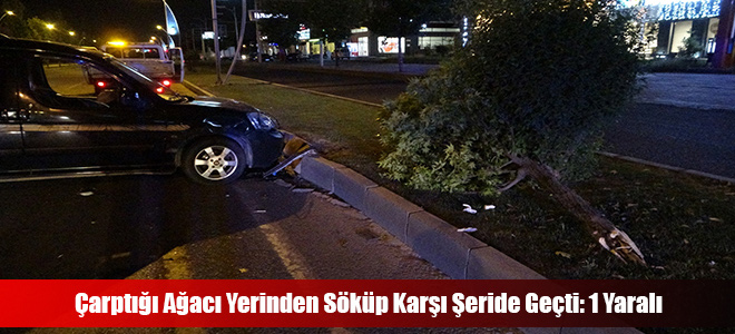 Çarptığı Ağacı Yerinden Söküp Karşı Şeride Geçti: 1 Yaralı