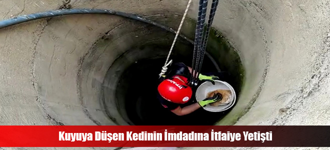 Kuyuya Düşen Kedinin İmdadına İtfaiye Yetişti