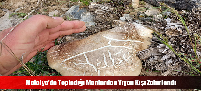 Malatya’da Topladığı Mantardan Yiyen Kişi Zehirlendi