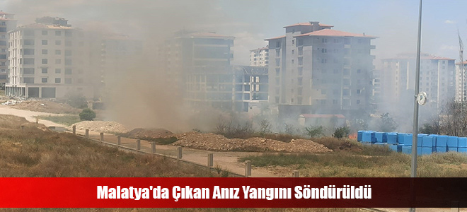 Malatya'da Çıkan Anız Yangını Söndürüldü