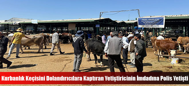 Kurbanlık Keçisini Dolandırıcılara Kaptıran Yetiştiricinin İmdadına Polis Yetişti