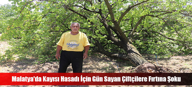 Malatya'da Kayısı Hasadı İçin Gün Sayan Çiftçilere Fırtına Şoku