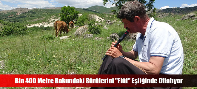 Bin 400 Metre Rakımdaki Sürülerini 