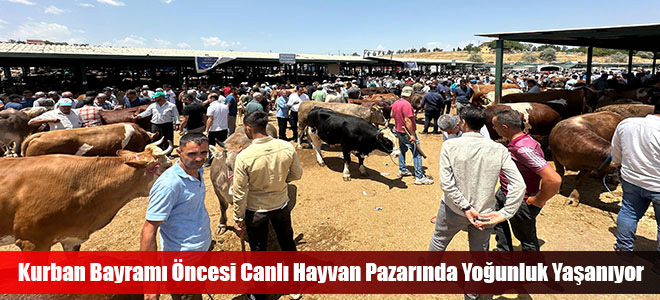 Kurban Bayramı Öncesi Canlı Hayvan Pazarında Yoğunluk Yaşanıyor