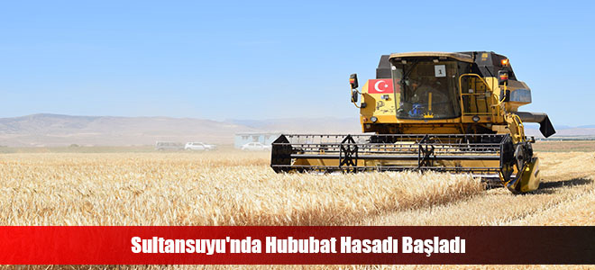 Sultansuyu'nda Hububat Hasadı Başladı