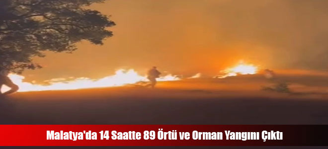 Malatya'da 14 Saatte 89 Örtü ve Orman Yangını Çıktı