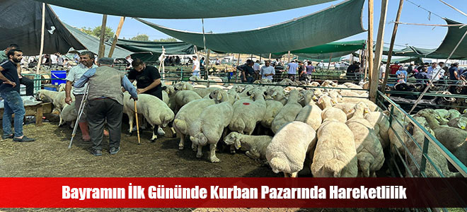 Bayramın İlk Gününde Kurban Pazarında Hareketlilik