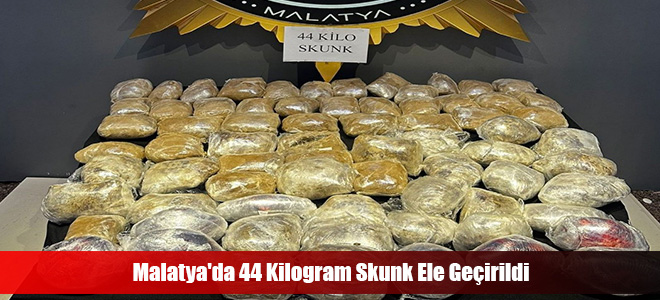 Malatya'da 44 Kilogram Skunk Ele Geçirildi