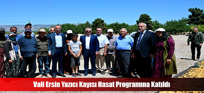 Vali Ersin Yazıcı Kayısı Hasat Programına Katıldı