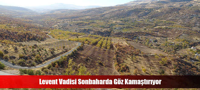 Levent Vadisi Sonbaharda Göz Kamaştırıyor