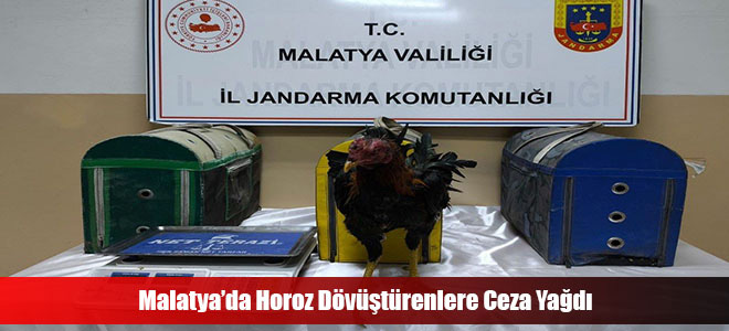 Malatya’da Horoz Dövüştürenlere Ceza Yağdı