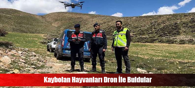 Kaybolan Hayvanları Dron İle Buldular