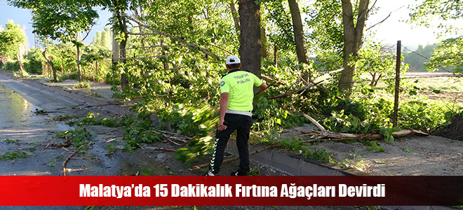 Malatya’da 15 Dakikalık Fırtına Ağaçları Devirdi