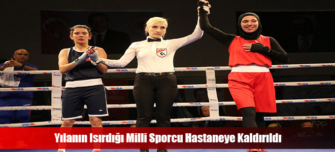 Yılanın Isırdığı Milli Sporcu Hastaneye Kaldırıldı