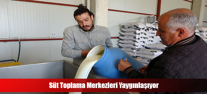 Süt Toplama Merkezleri Yaygınlaşıyor