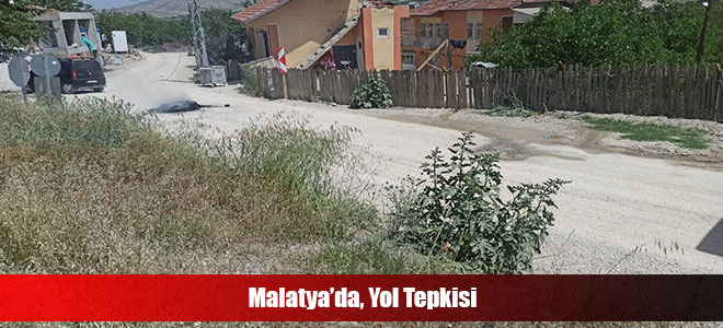 Malatya’da, Yol Tepkisi