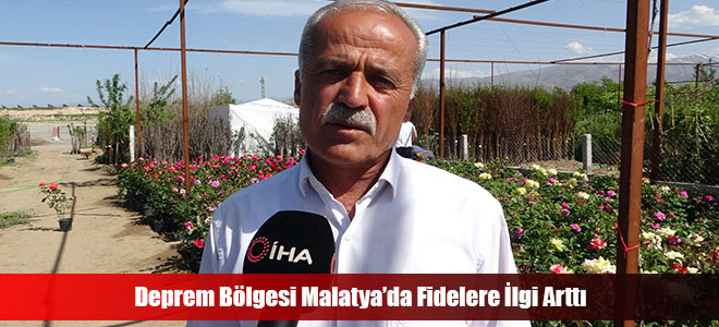 Deprem Bölgesi Malatya’da Fidelere İlgi Arttı