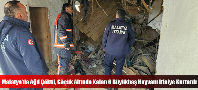 Malatya’da Ağıl Çöktü, Göçük Altında Kalan 6 Büyükbaş Hayvanı İtfaiye Kurtardı