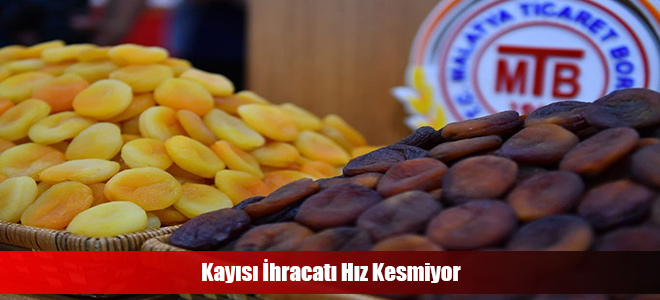 Kayısı İhracatı Hız Kesmiyor