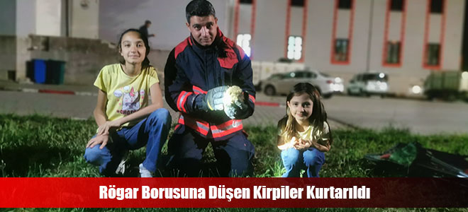 Rögar Borusuna Düşen Kirpiler Kurtarıldı