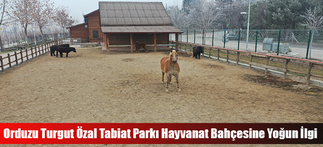 Orduzu Turgut Özal Tabiat Parkı Hayvanat Bahçesine Yoğun İlgi