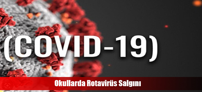 Okullarda Ootavirüs Salgını