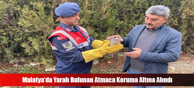 Malatya’da Yaralı Bulunan Atmaca Koruma Altına Alındı