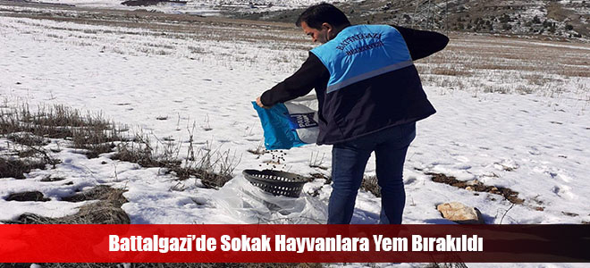 Battalgazi’de Sokak Hayvanlara Yem Bırakıldı